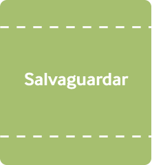 Salvaguardar