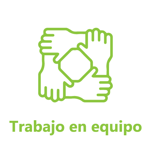 Trabajo en equipo